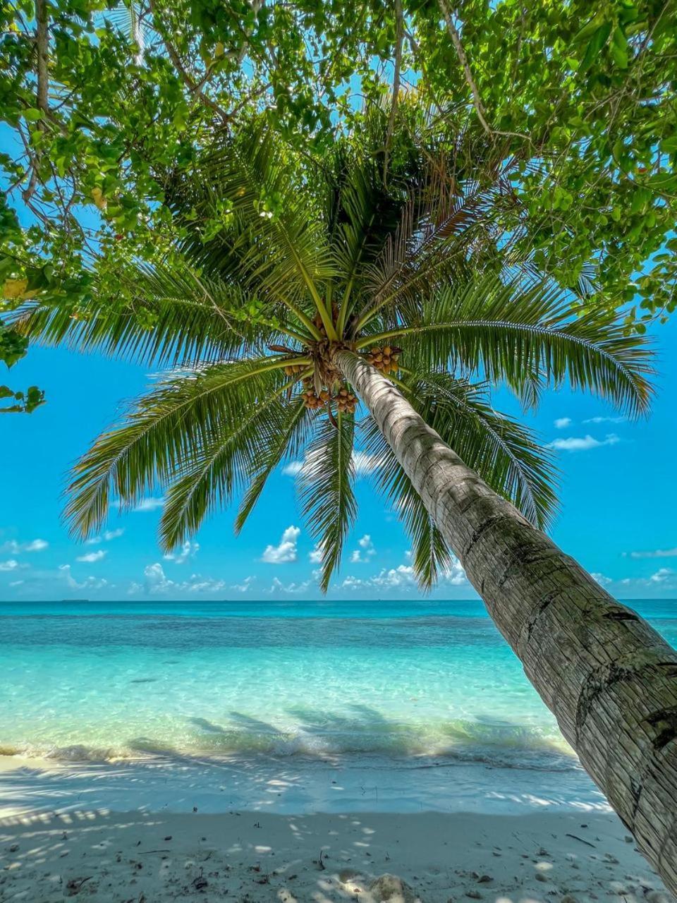 Infinite Lagoon Mandhoo Exteriör bild